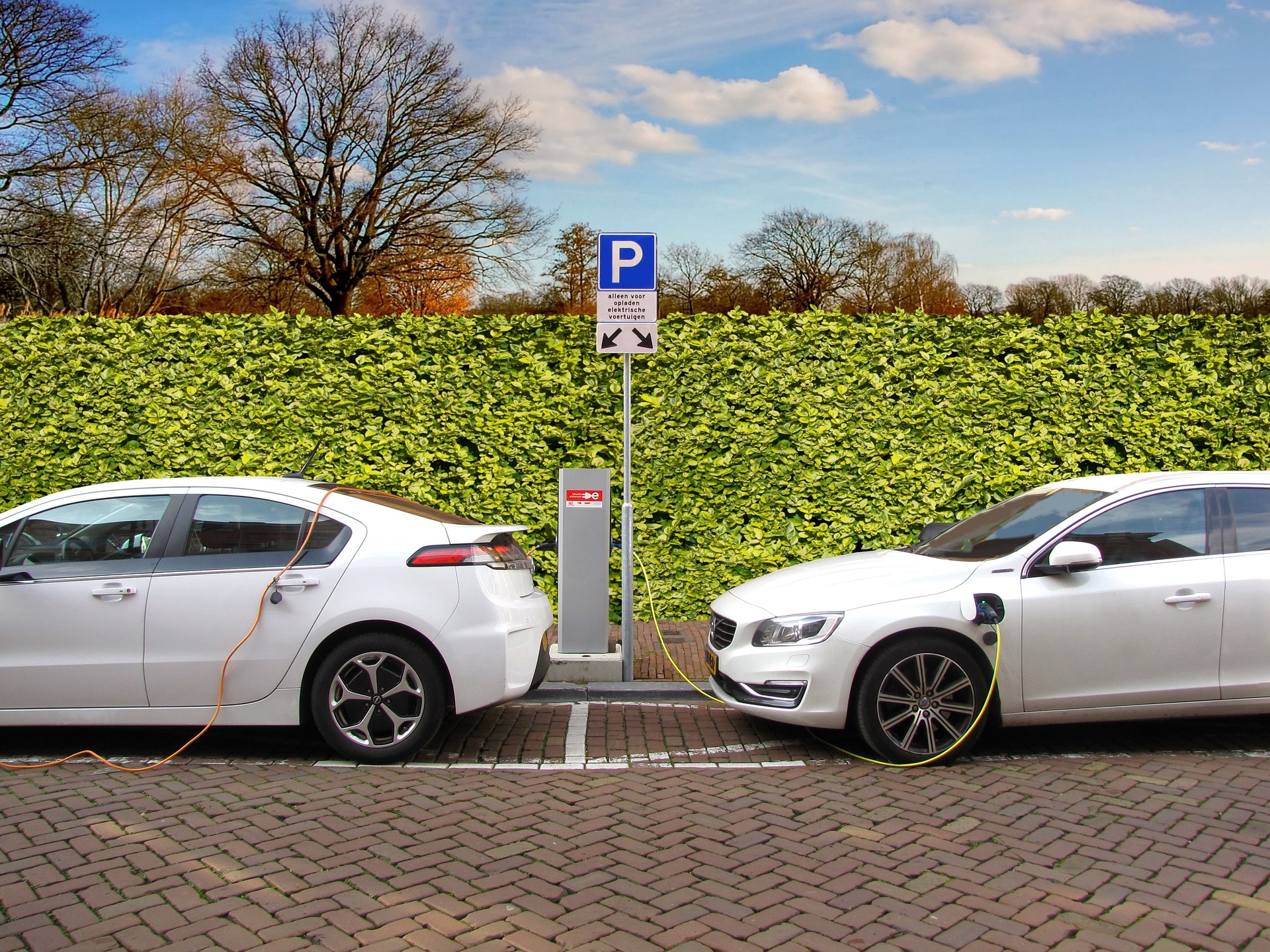 Electrische auto's die opladen