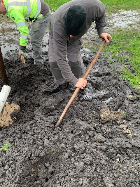 gemeente plant de bomen op de afgelaste boomfeestdag 2023 door te natte grond en blubber