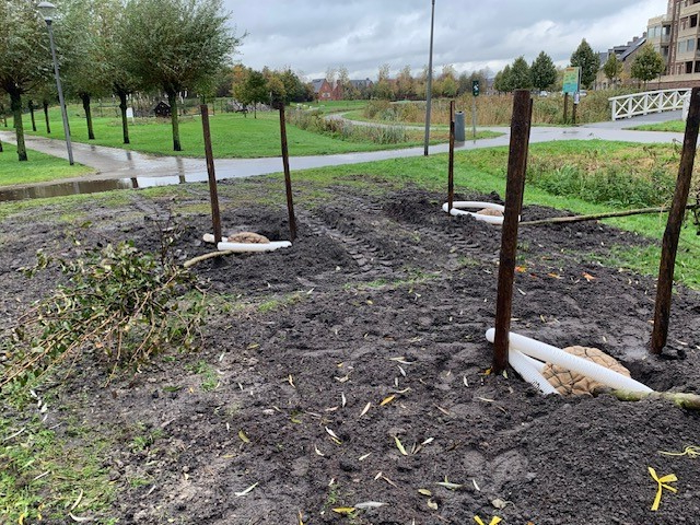 gemeente plant de bomen op de afgelaste boomfeestdag 2023 door te natte grond