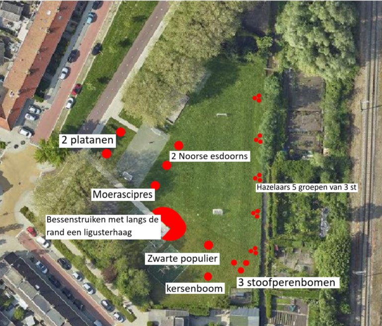 Luchtfoto van de speelplek aan de Eikenlaan in Waddinxveen. Op de foto staat met rode vlekken en tekst aangegeven welke bomen of struiken we gaan planten.
