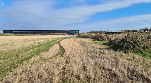 Een leeg weiland met aan de horizon een bedrijfsgebouw. Op de plek waar Businesspark Vredenburgh Fase II komt.